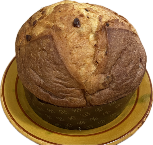 Panettone available for pre-order